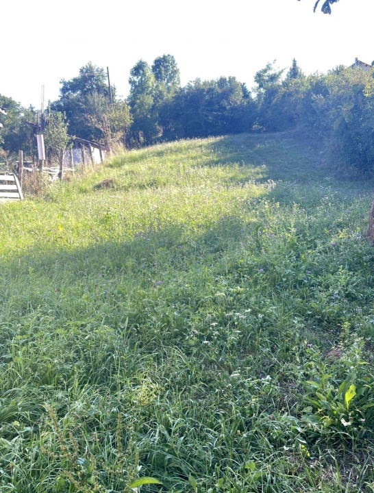 Teren intravilan de vanzare, Finisel com Savadisla