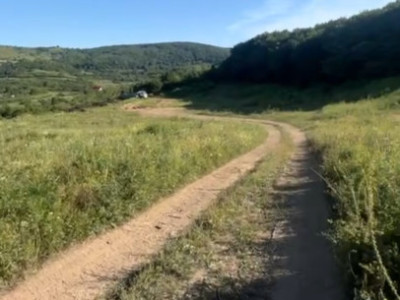 Teren de vanzare, 6000 mp zona ANL  