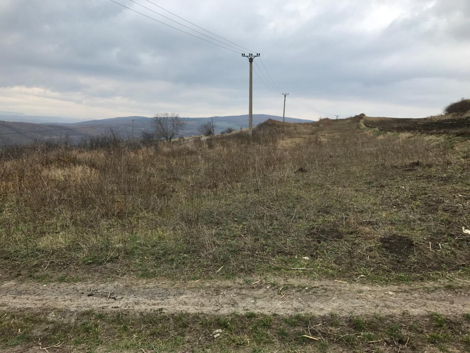 OPORTUNITATE! Teren de vanzare zona Lombului, extravilan, 5800mp
