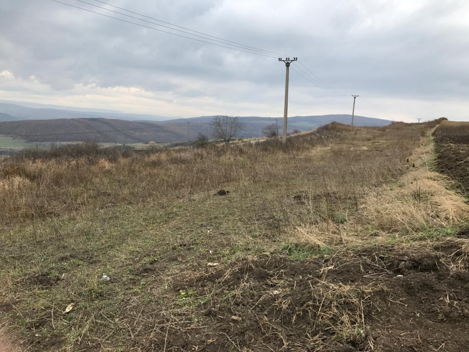 OPORTUNITATE! Teren de vanzare zona Lombului, extravilan, 5800mp