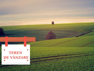 Teren intravilan, 1400 mp, Borhanci