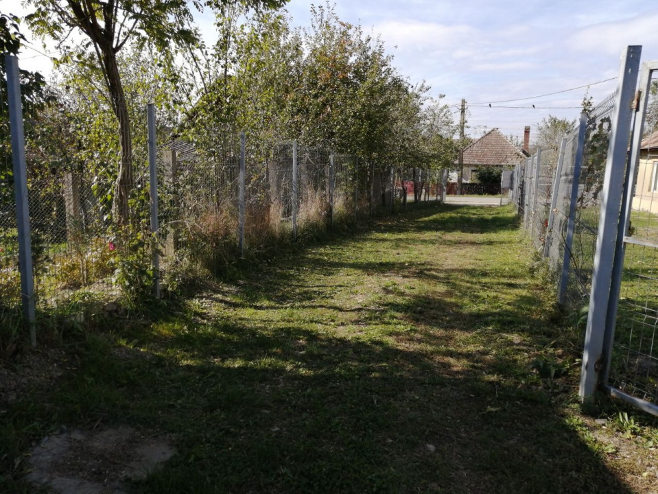 Hala la cheie si teren 4000 mp, Bontida 