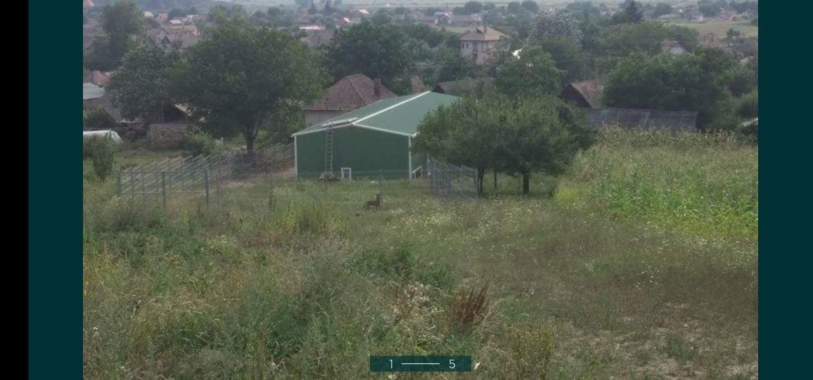 Hala la cheie si teren 4000 mp, Bontida 