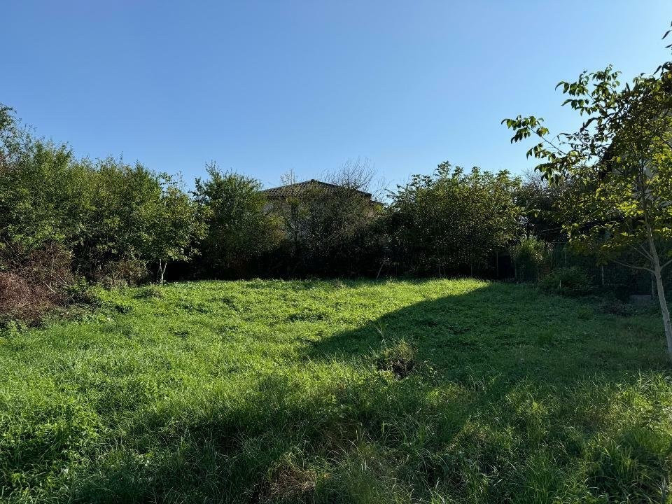 Teren 490mp intravilan in Buna Ziua constructii Case 