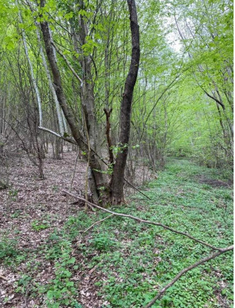 Oportunitate Teren extravilan 4000mp , Zona Baisoara 