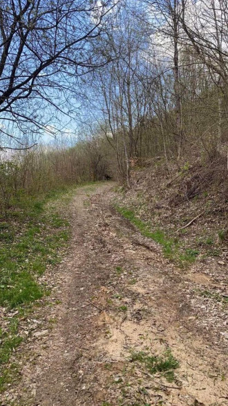 Oportunitate Teren extravilan 4000mp , Zona Baisoara 