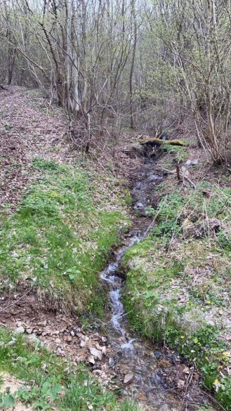 Oportunitate Teren extravilan 4000mp , Zona Baisoara 