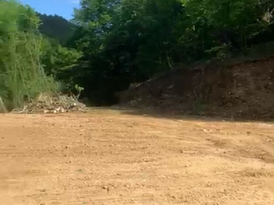 Oportunitate Teren extravilan 4000mp , Zona Baisoara 