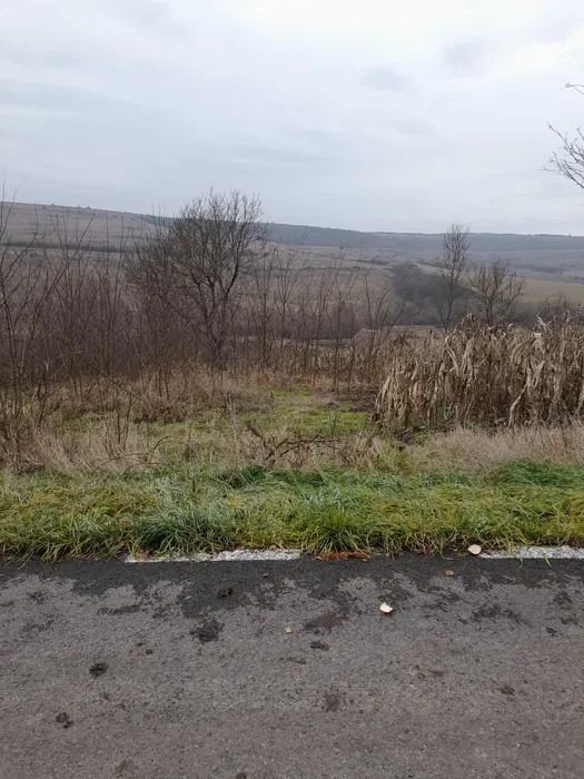 Teren intravilan cu CF, 1000 mp, sat Giula