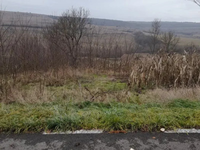 Teren intravilan cu CF, 1000 mp, sat Giula