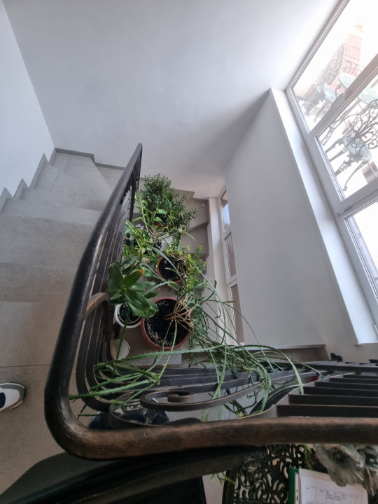 Spațiu de birouri, 200 mp utili, zona Dambul Rotund