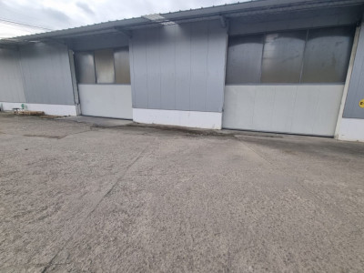 Hala de inchiriat  500MP 