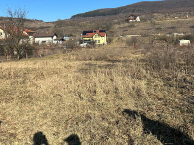 Teren intravilan pentru casa 2400 mp front 16ml Radaia sub pretul pietei 