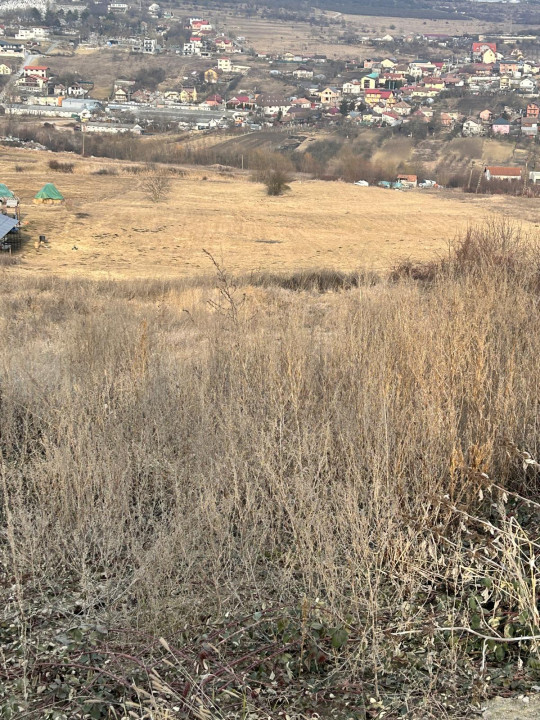 Teren 9.555mp front 28ml constructie ansamblu case Iris 