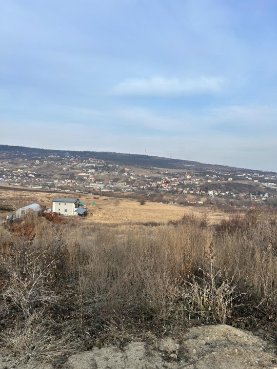 Teren 9.555mp front 28ml constructie ansamblu case Iris 