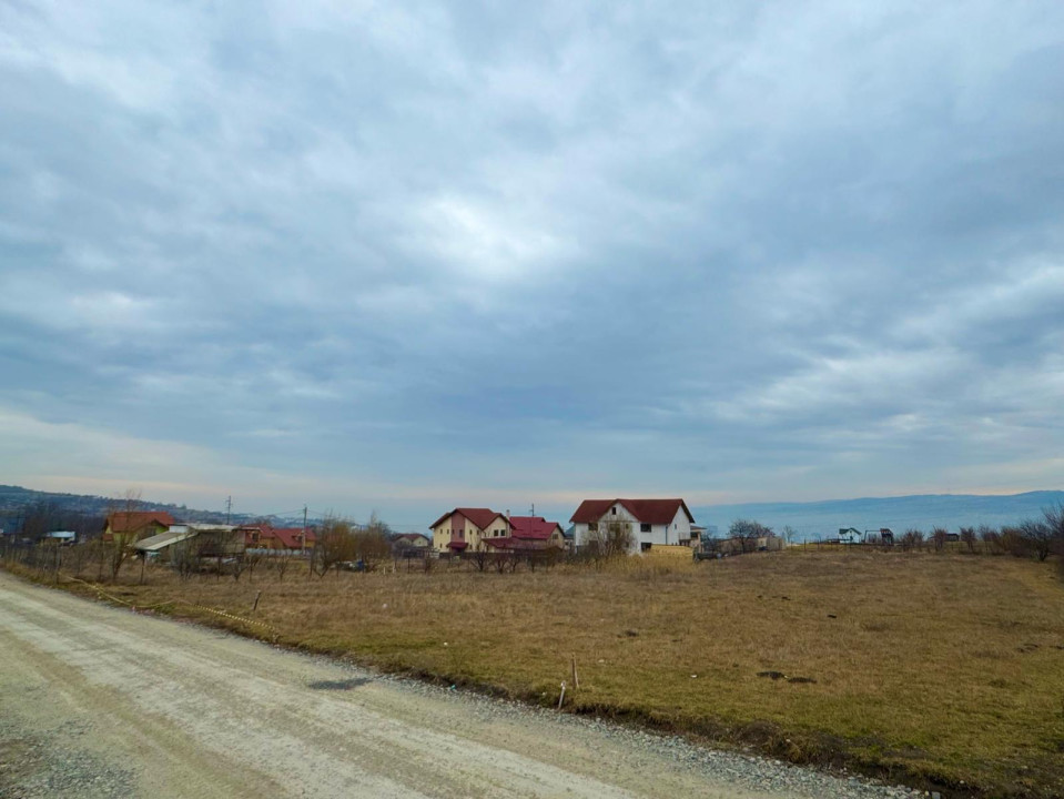 Teren intravilan 3500 mp cu vedere panoramică asupra Clujului, Dambul Rotund