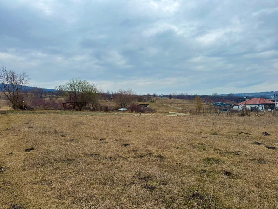 Teren intravilan 3500 mp cu vedere panoramică asupra Clujului, Dambul Rotund