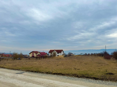 Teren intravilan 3500 mp cu vedere panoramică asupra Clujului, Dambul Rotund