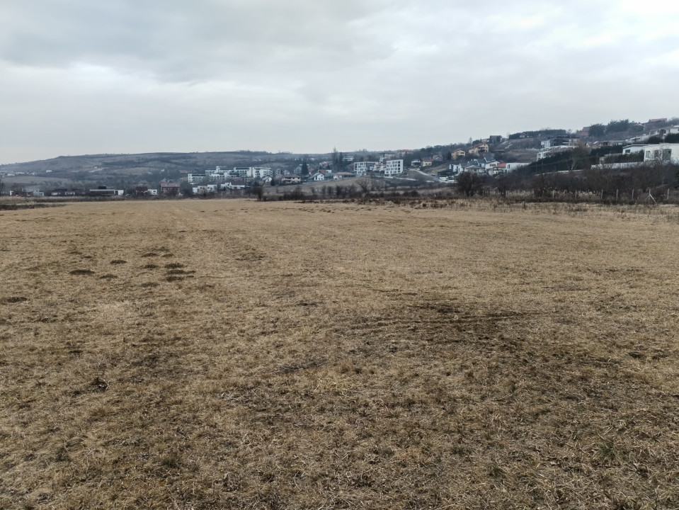 Teren Intravilan de vânzare, 4300mp, front 25 ml, Borhanci