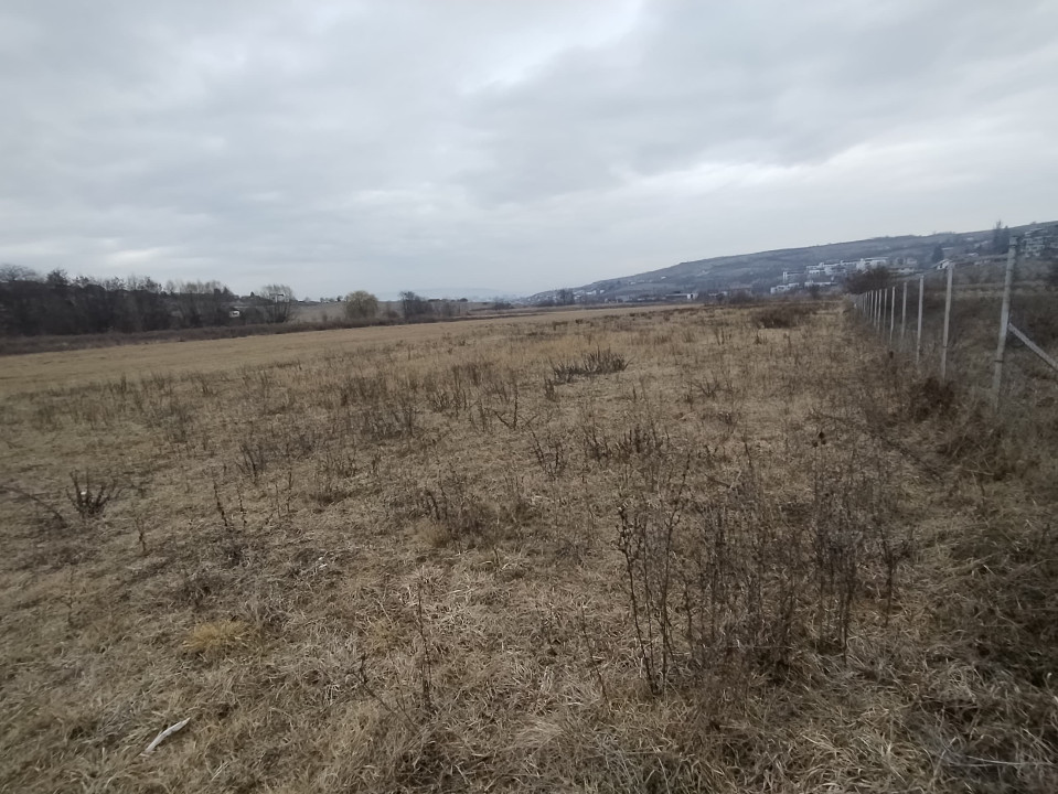 Teren Intravilan de vânzare, 4300mp, front 25 ml, Borhanci