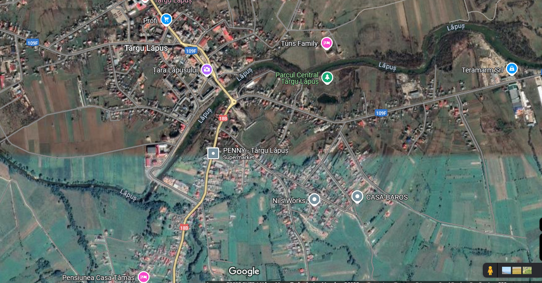 Casa de vanzare Targu Lapus zona centrala cu teren 3800mp si anexe 