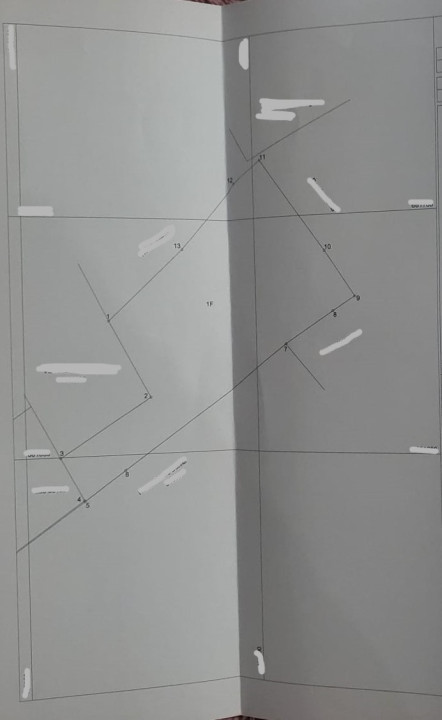 Casa de vanzare Targu Lapus zona centrala cu teren 3800mp si anexe 