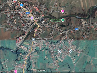 Casa de vanzare Targu Lapus zona centrala cu teren 3800mp si anexe 