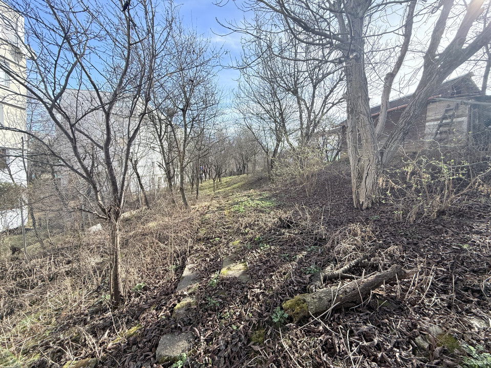 Teren intravilan, 518 mp, zona Manastur 