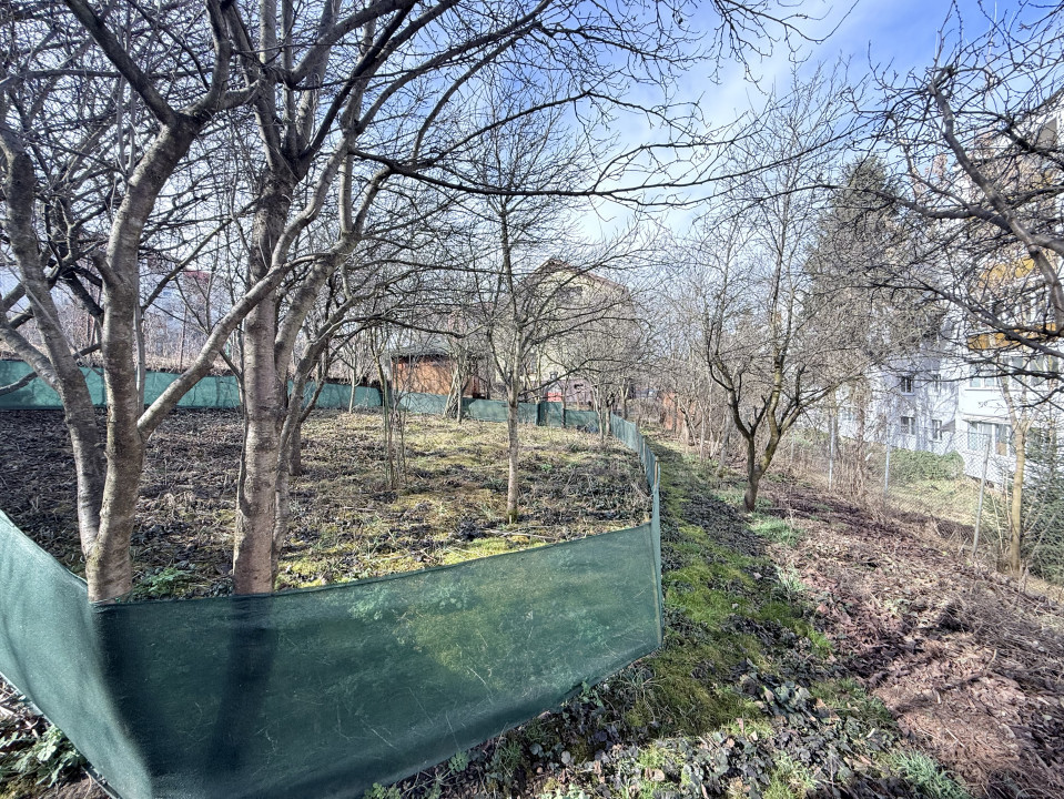 Teren intravilan, 518 mp, zona Manastur 