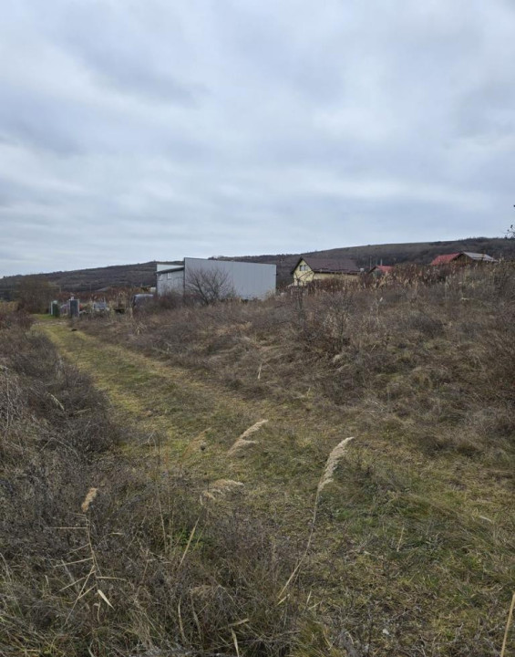 Teren extravilan 400mp front 15mp zona Valea Chintaului 