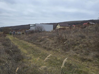 Teren extravilan 400mp front 15mp zona Valea Chintaului 
