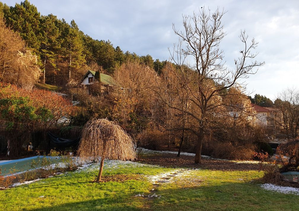 Teren de vanzare zona strazii Magnoliei 550mp 