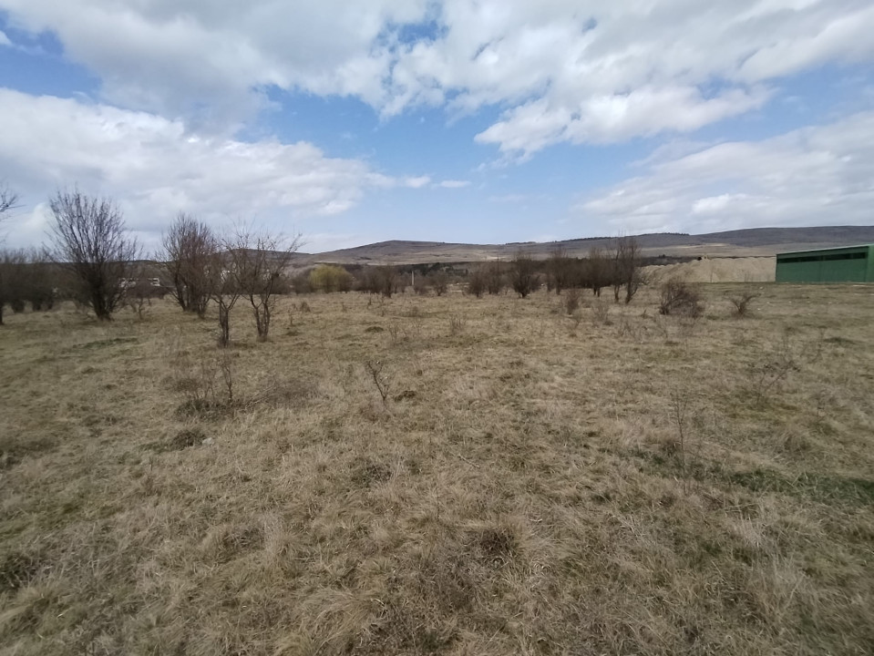 Teren de vanzare, 1.3HA., utilitati, acces din DN 