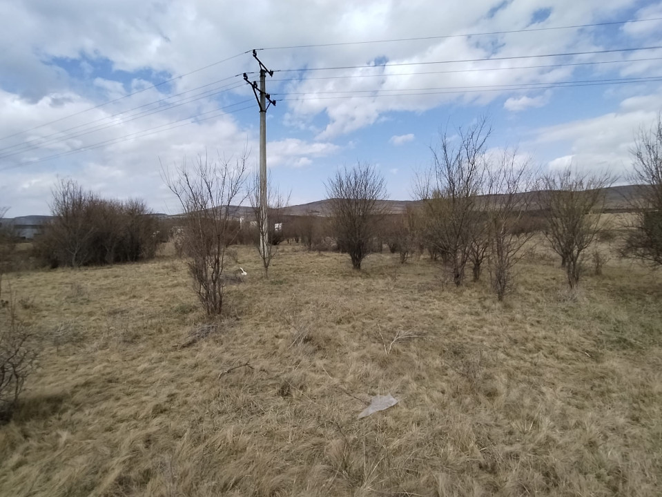 Teren de vanzare, 1.3HA., utilitati, acces din DN 