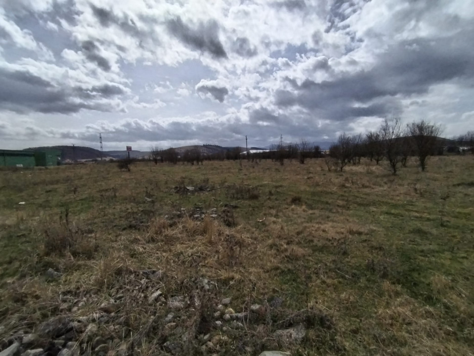 Teren de vanzare, 1.3HA., utilitati, acces din DN 