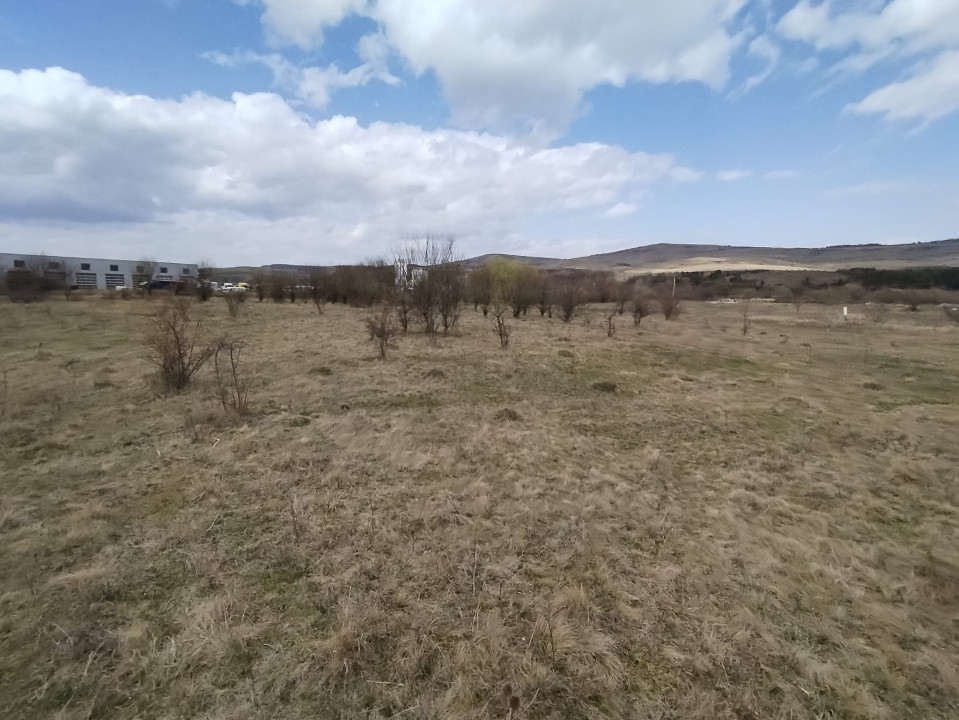 Teren de vanzare, 1.3HA., utilitati, acces din DN 