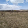 Teren de vanzare, 1.3HA., utilitati, acces din DN 