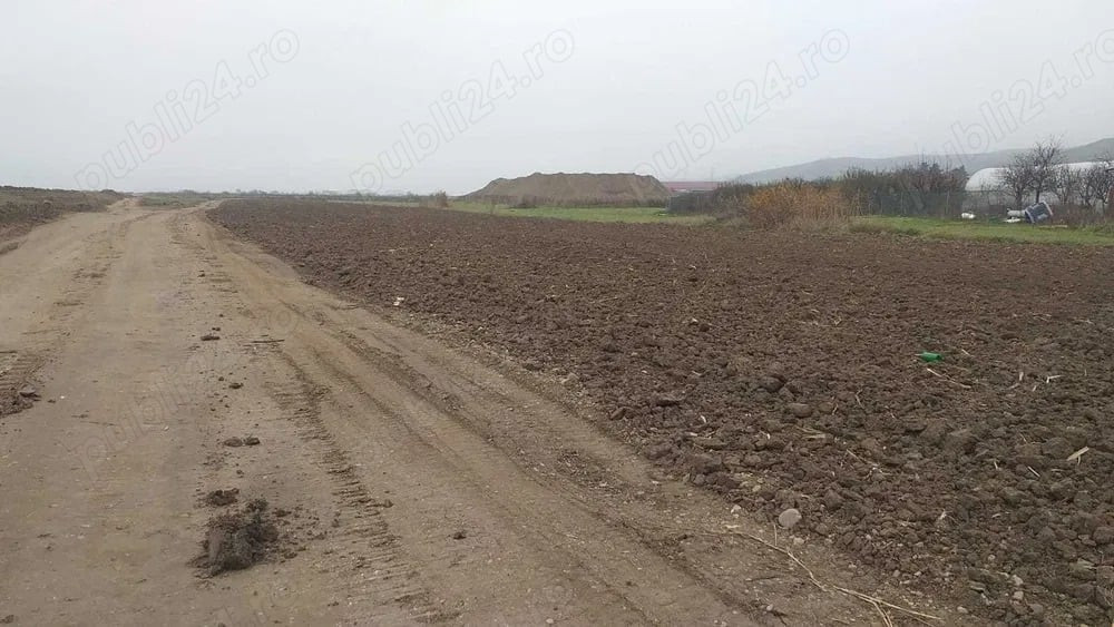 Vand teren intravilan 2700 mp posibilitate constructie hala