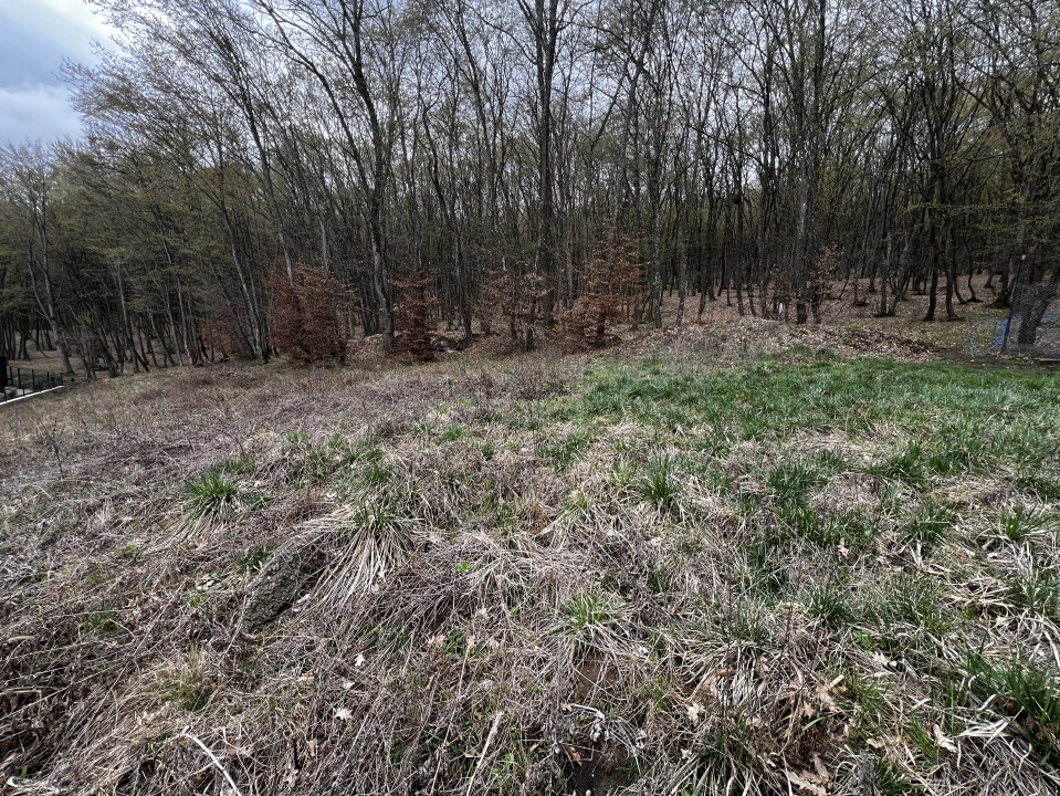 Teren Intravilan, 500mp, zona ANL