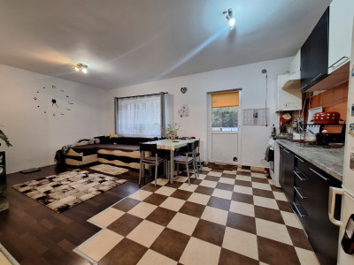 Apartament cu 3 camere, 53 mp, parcare, gradina, zona Teilor