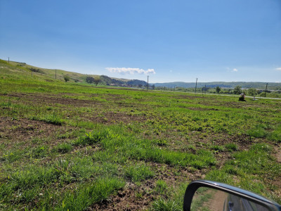 Oportunitate de investitie, Teren Intravilan Capusu Mare