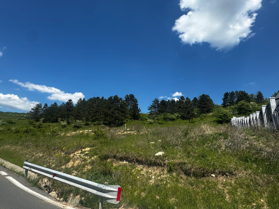 Teren 1370mp cu front de 38 mp Donath Park 