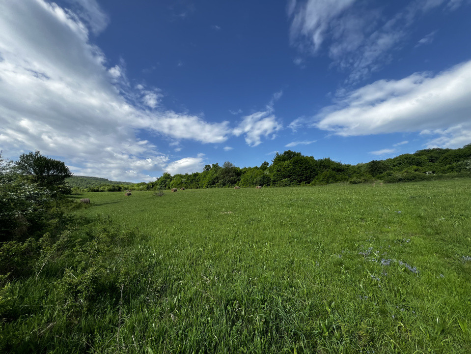 Teren intravilan 3800 MP, zona Valea Garbaului