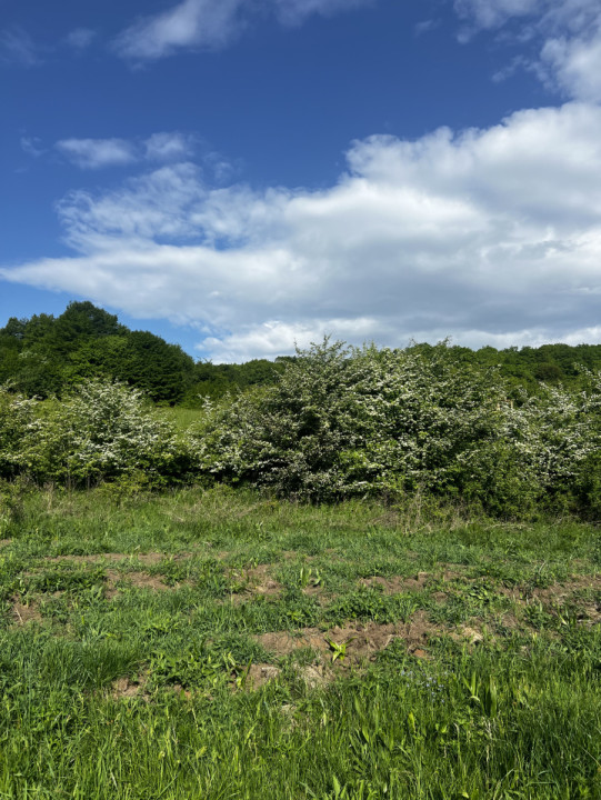 Teren intravilan, 4300 MP, zona Valea Garbaului