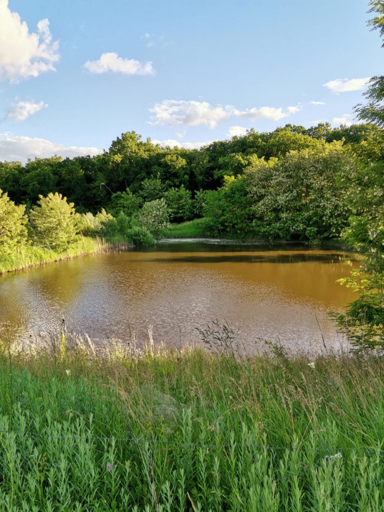 Ferma Zootehnica la standarde Europene