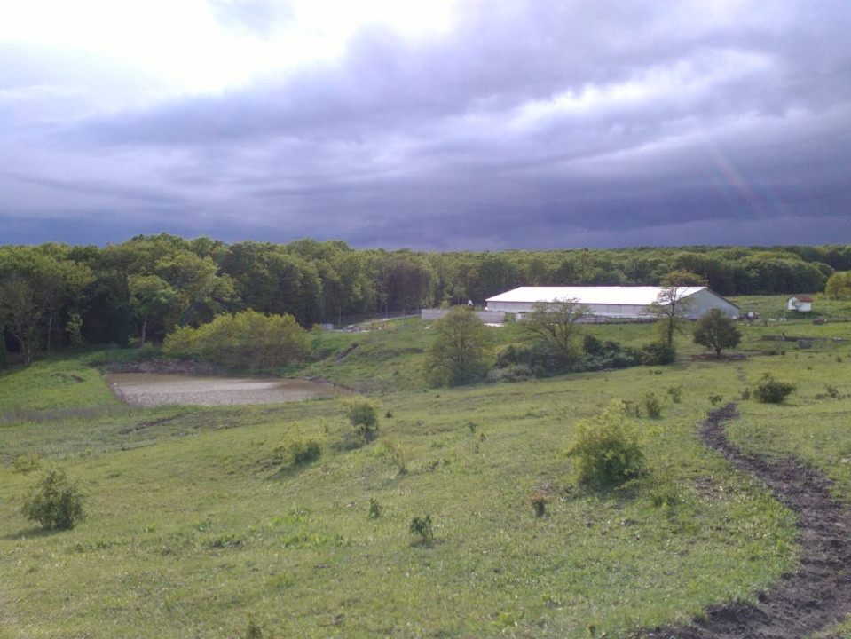 Ferma Zootehnica la standarde Europene