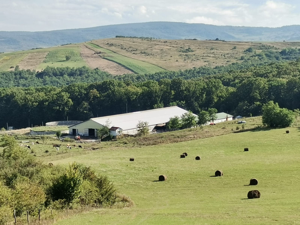 Ferma Zootehnica la standarde Europene