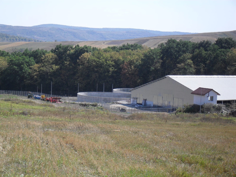 Ferma Zootehnica la standarde Europene