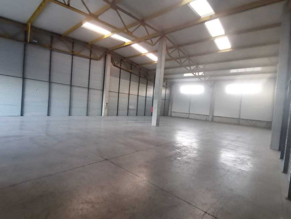 Hala Industriala de inchiriat in Capusu Mare