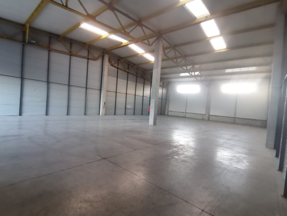 Hala Industriala de inchiriat in Capusu Mare